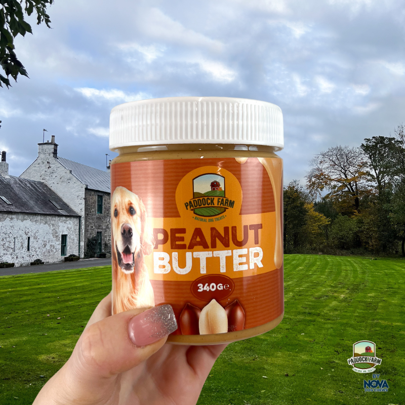 Paddock Farm Peanut Butter 340g