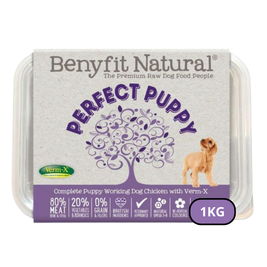 Benyfit Natural Puppy Chicken 1kg