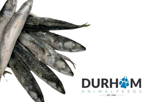 Durham | Mackerel 1kg